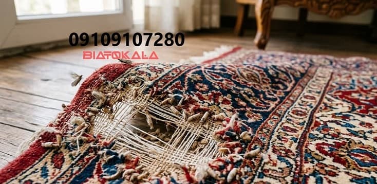 عوارض بید و لارو بید به فرش